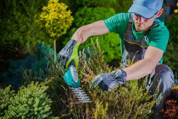 landscaping services Maineville